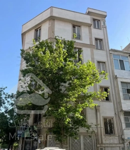 ۶۶ متری خوش نقشه