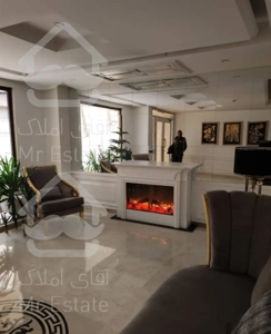 الهیه ۲۵۰ متر۴خواب  +۴ پارکینگ