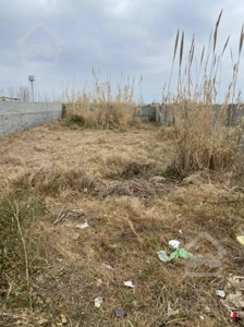 زمین ۴۱۷متری سرخرودکوچه تهرانی نشین