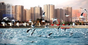 فروش آپارتمان در چیتگر/دفتر فروش آرین سازه