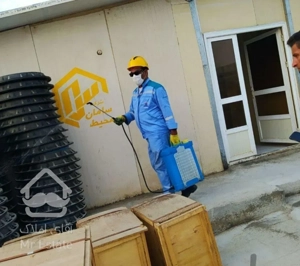 سم پاشی/ساس سوسک موش موریانه/سمپاشی/30سال ضمانت