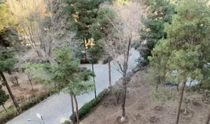 ۴ خواب بالای ورزشگاه