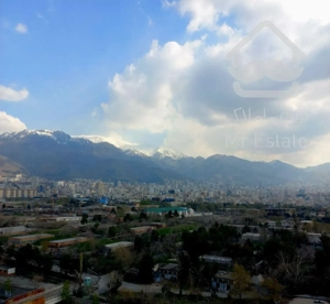 طبقه بالا/خوش نقشه/رونیکا پالاس