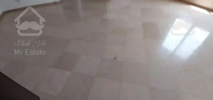 فرمانیه غربی/ ۱۲۰ متر/ واحدی خوش انرژی و