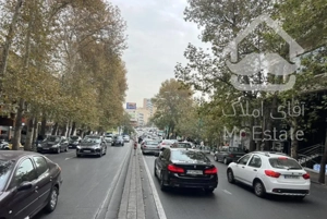 مغازه  بر ولیعصر  ( باغ فردوس ) ۵۵   متر   اجاره