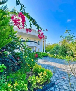 نوارجنگلی نور/نمارومی ۵۰۰متری/سنددار