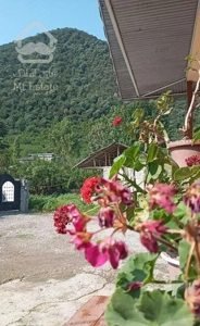 *ویلا کوهپایه ای ماسال*