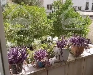 ایرانشهر، رامسر. 130متر،2خواب،2واحدی