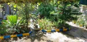 ویلا باغ تختی