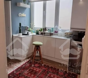 فروش 65 آپارتمان در کوی فردوس شرق