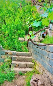 ویلای گردشگری در  پاوه روستای گردشگری خانقاه