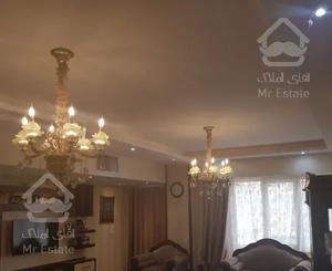 ۱۱۶متر جنوبی ط۱۱صیاد۲ دریاچه قابل رهن به خودم