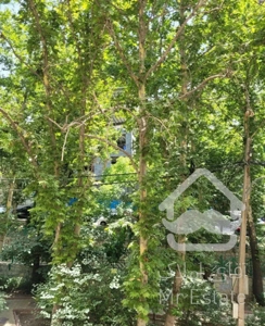 لابی مجلل، نگهبانی 24ساعته، روف گاردن