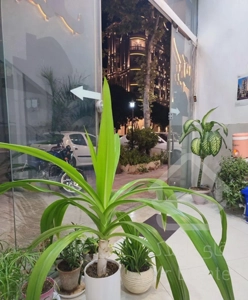 فروش واحد آپارتمانی