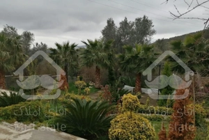 اجاره ویلا در رستم آباد (گیلان)