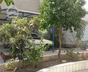 اپارتمان ۲۴۰ متر حیاط اختصاصی