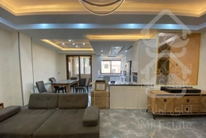 ۱۲۰ متر / شمال ستارخان / سرمایه گذاری