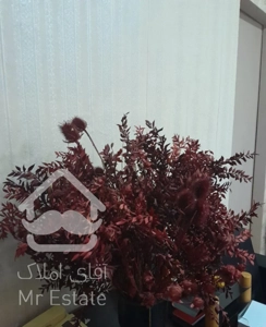 شرکت نظافتی خدماتی دریا