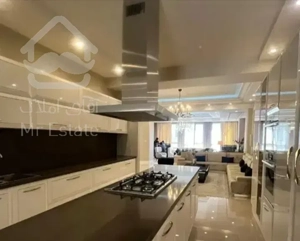 ۱۸۵ لوکس کامرانیه شمالی/نور عالی، پلان بی نقص