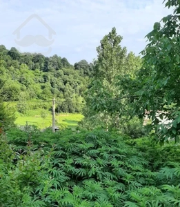 فروش زمین ۳۱۰ متری در بهشت گم شده مرادهنده