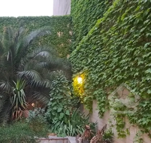 اجاره اپارتمان ۸۵متری شمال جردن غرق در نور