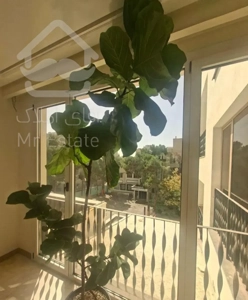 هروی۱۰۰متر/آفتابگیر/تخلیه