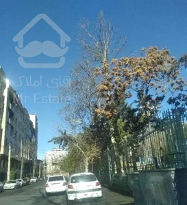 فاز ۶ ایلیا سازه