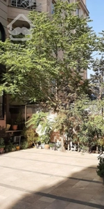 سید خندان  پشت پارک شریعتی ۱۱۰ متر ۲ خوابه فول