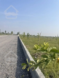 باغ ۴۶۰ متری نزدیک دریا