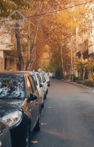 تک واحدی / جنوبی /طبقه اول/ حیاط اختصاصی/