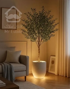 دو خواب ۱۲۰ متر هرمزگان