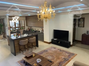 شمال کاخ نیاوران - ۲۱۶ متر کلاسیک - اکازیون