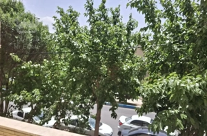 ۱۰۰ متری ۲ خواب