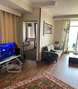 ونک/۹۷متر توانیر/نظامی گنجوی،ویو مشجر