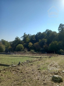 زمين قواره يك جنگل،تو شهركى،سنددارد،مناسب سرمايه گزارى