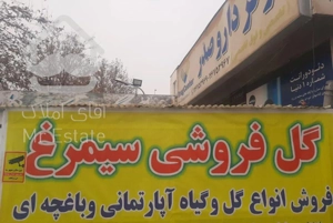 مغازه گل 50 متری