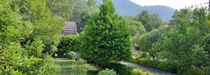 رهن و اجاره ویلای مدرن استخر دار شهرکی