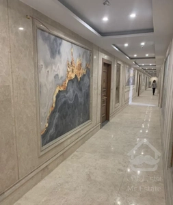 پروژه برند منطقه اقساط بلند مدت رونیکا پالاس