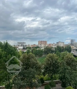 ۱۱۵ متری دلباز ، تراس رو ب رودخانه ، نورگیر ، ویژه