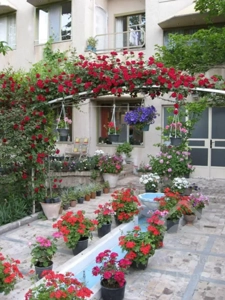 ۳۰۰ متر بنای چند ساله در ۵۴۰ متر زمین لواسان