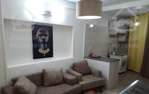 اجاره آپارتمان و سوئیت