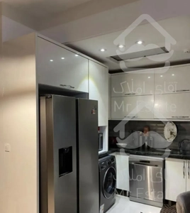 شاهین شمالی اقاقیا ۱۴۸متر ۴ساله