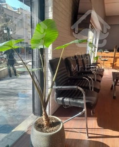 آپارتمان ۱۲۰ متری حیاط اختصاصی