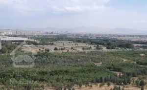 ۱۳۸متر ویو جنگلی دل باز