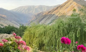 لوکسترین ملک کوهسار درکه ویوابدی برج باغ ۲۰۸ متری