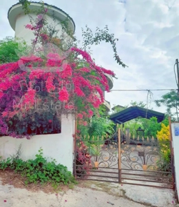 فروش ویلا جنگلی در رامسر ((مسیر کتالم به اربکله))