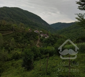 فروش خانه ویلایی ۳۵ متری ۱ خوابه