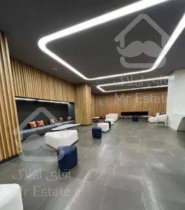 محمودیه/310 متر/ مدرن/برج/