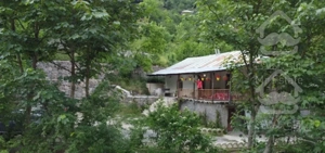 کلبه جنگلی دربست و دنج و آرام با ویو