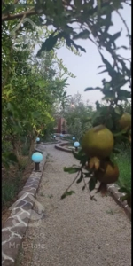 اجاره ویلا باغ دنج محدوده اشکذر